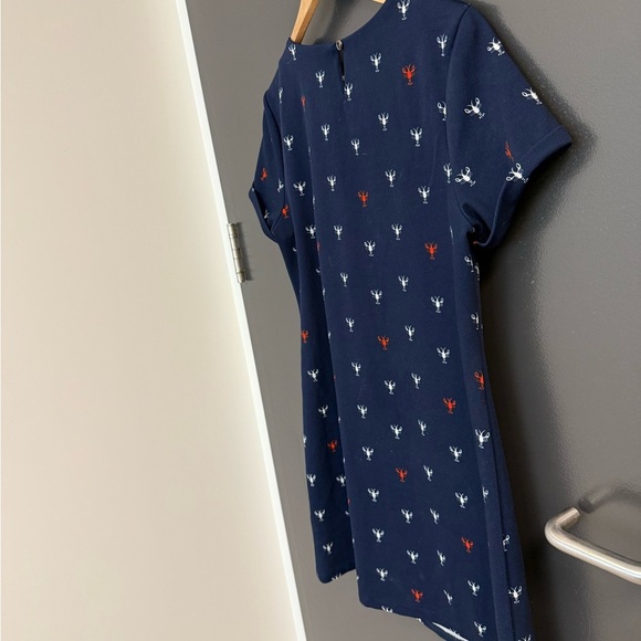 Yumi size 8 (12 UK) GUC lobster Casual Blue Sheath Dress with Crew Neck - Picture 7 of 13